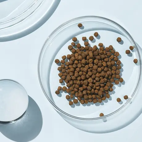 Helps with smooth bowel movements and normal immune function